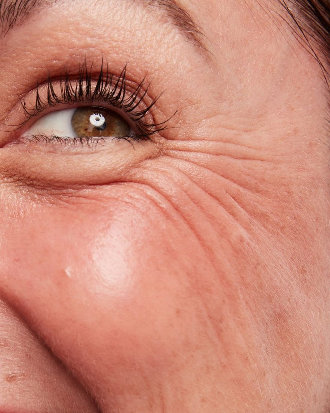 Finelines & Wrinkle